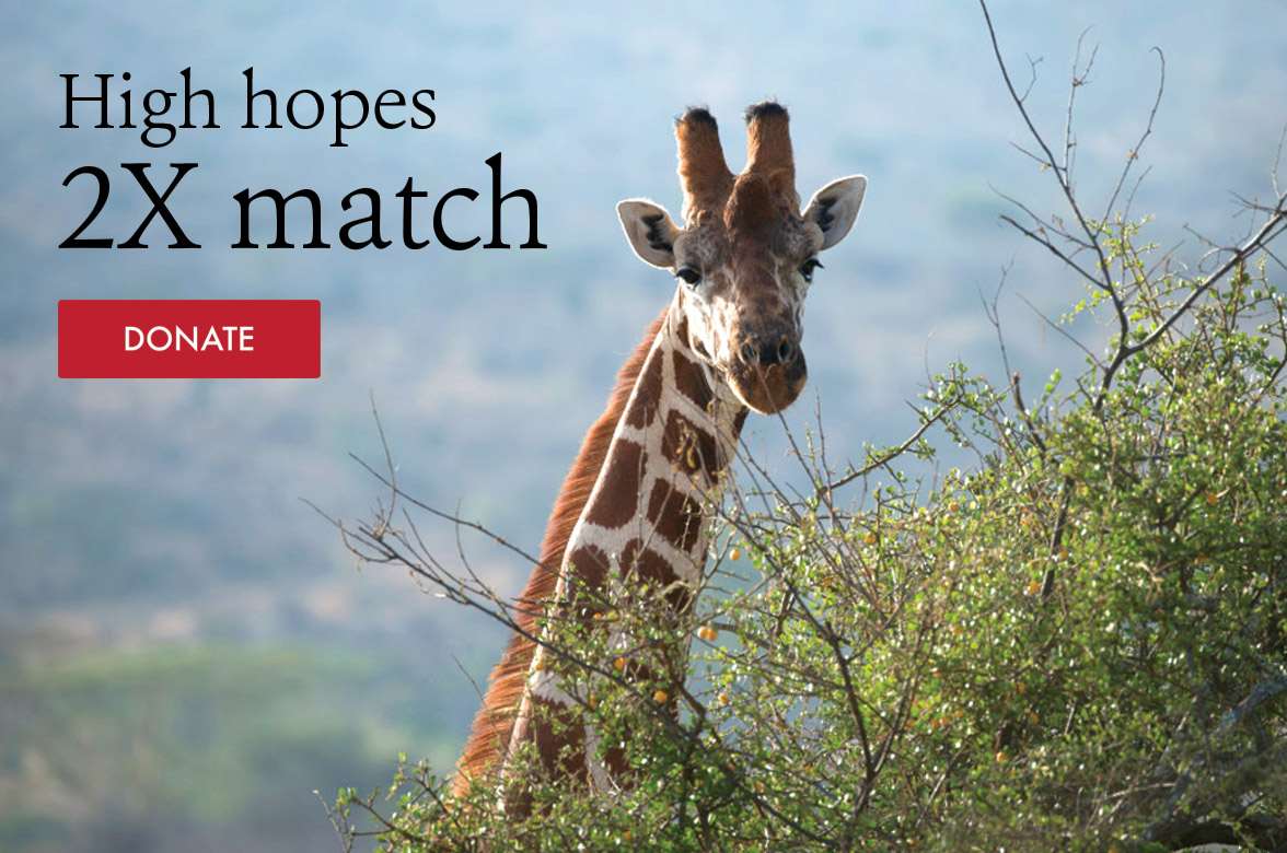 High hopes. 2x match. [Donate]